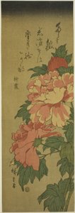 Pivoines - Utagawa Hiroshige