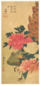 Pivoines et paon
