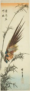 Faisan et bambou - Utagawa Hiroshige