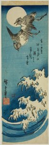 Pluviers, pleine lune et vagues