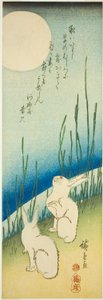 Lapins sous la pleine lune - Utagawa Hiroshige
