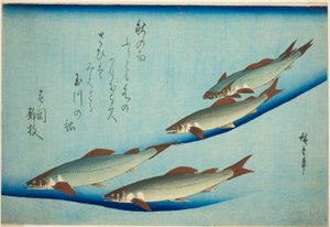 Truite de rivière - Utagawa Hiroshige