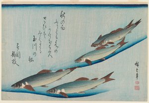 École de cinq truites de la série Poissons, vers 1835