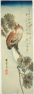 Chouette à petites cornes, pin et croissant de lune - Utagawa Hiroshige