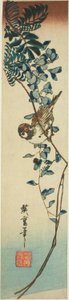 Moineau et glycine - Utagawa Hiroshige
