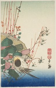 Moineau sur un pot suspendu - Utagawa Hiroshige