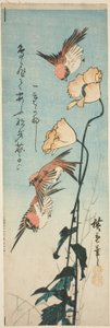 Moineaux et coquelicots - Utagawa Hiroshige