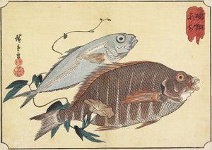 Vivaneau rayé et maquereau, début du 19e siècle