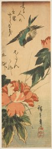 Hirondelle et hibiscus - Utagawa Hiroshige