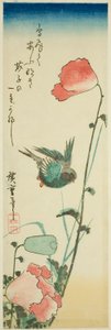 Hirondelle et coquelicots - Utagawa Hiroshige