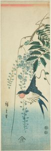 Hirondelle et glycine - Utagawa Hiroshige