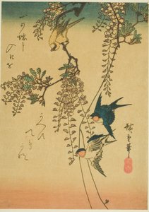 Hirondelle, oiseau jaune et glycine