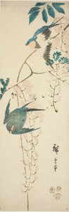 Hirondelles et glycine - Utagawa Hiroshige