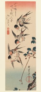 Tanzaku, quatre hirondelles, 1832 - Utagawa Hiroshige