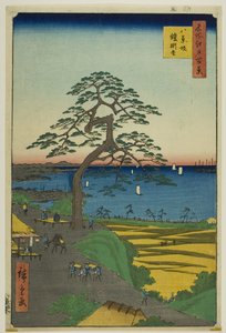 Le pin suspendu à Hakkeizaka (Hakkeizaka Yoroikakematsu), de la série "Cent vues célèbres d