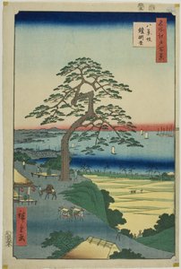 Le pin suspendu à Hakkeizaka (Hakkeizaka Yoroikakematsu), de la série "Cent vues célèbres d