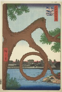 Le pin de la lune sur les terrains du temple à Ueno, de la série "Cent vues célèbres d
