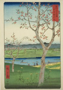 Les environs de Koshigaya dans la province de Musashi (Musashi Koshigaya zai), de la série "Trente-six vues du mont Fuji (Fuji sanjurokkei)" - Utagawa Hiroshige
