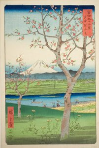 Les Environs de Koshigaya dans la Province de Musashi, de la série "Trente-six Vues du Mont Fuji" - Utagawa Hiroshige