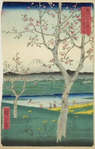 Les environs de Koshigaya dans la province de Musashi, de la série "Trente-six vues du mont Fuji" - Utagawa Hiroshige
