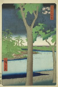 Le bosquet de paulownias à Akasaka (Akasaka Kiribatake), de la série "Cent vues célèbres d