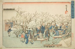 Le Jardin des pruniers à Komeido (Kameido ume yashiki no zu), de la série "Lieux célèbres de la capitale orientale (Toto meisho)" - Utagawa Hiroshige
