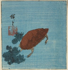 Tortue - Utagawa Hiroshige