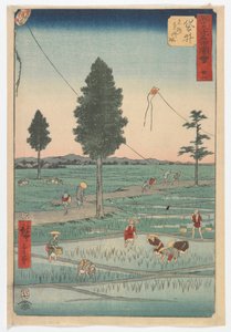 Vingt-huit, Fukuroi, période Edo, 1855