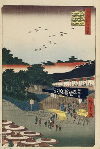 Ueno Yamashita Cent vues célèbres d