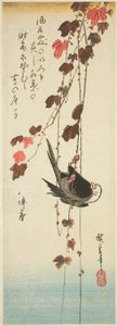 Oiseau à tête blanche et lierre - Utagawa Hiroshige