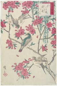 Saule, fleurs de cerisier, moineaux et hirondelle, début du 19ème siècle