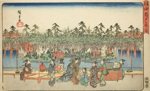 Glycine à Kameido (Kameido Tenjin fuji hana), de la série "Lieux célèbres de la capitale de l