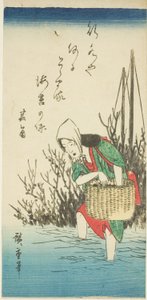 Femme ramassant des algues - Utagawa Hiroshige