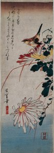 Troglodyte et chrysanthèmes - Utagawa Hiroshige