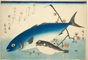 Sériole, poisson-globe et branche de prunier - Utagawa Hiroshige