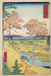Colline Yuhi à Meguro dans la capitale orientale, de la série "Trente-six vues du mont Fuji"