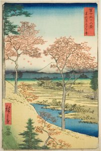 Colline Yuhi à Meguro dans la capitale orientale (Toto Meguro Yuhigaoka), de la série "Trente-six vues du mont Fuji (Fuji sanjurokkei)"