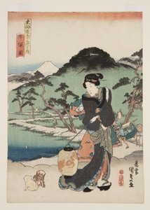 Vue de Hiratsuka