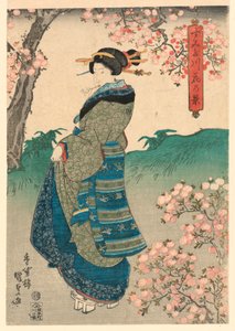 Femme regardant les Fleurs de Cerisier sur la Rive de la Rivière Sumida (Sumidagawa hana no kei) - Utagawa Kunisada