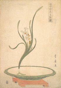 Arrangement floral de narcisses Suisen dans un plat vert plat