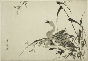 Oies sauvages et roseaux - Utagawa Toyohiro