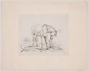 Un vieux cheval - Valdemar Irminger