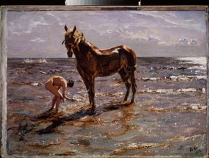 Le bain du cheval