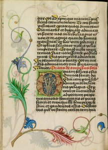 Initiale O décorée