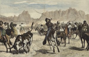 Conduite de bétail dans un corral, Nebraska - Valentine Walter Lewis Bromley