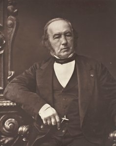Claude Bernard, [physiologiste français], vers 1876 - Valéry