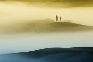 Les collines dorées brumeuses - Vanja Tajnsek