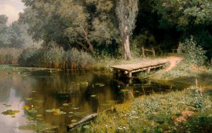Le bassin envahi par la végétation