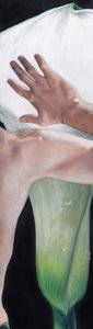 Une main effleurant un lis calla