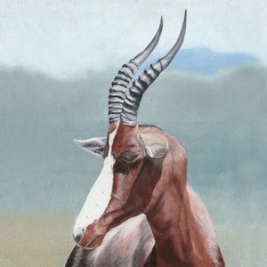 Portrait majestueux d